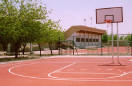 Basketball Court
